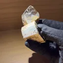 specimen video