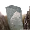 Topaz on Muscovite - image 3
