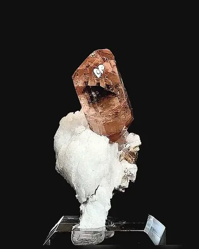 specimen video