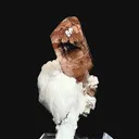 specimen video