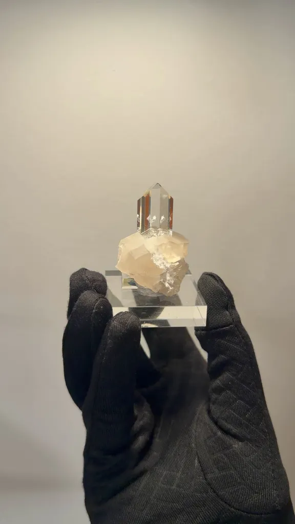 specimen video