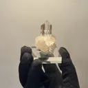 specimen video