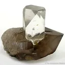 Topaz on Smoky Quartz - image 3