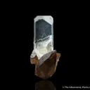 Topaz on Smoky Quartz - image 5