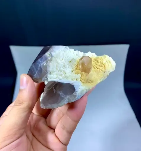 specimen video