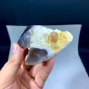 specimen video
