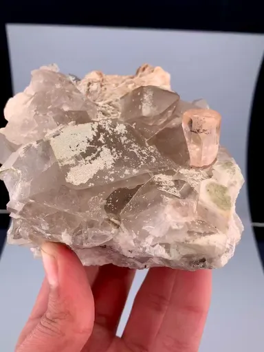 specimen video