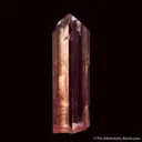 Topaz var. Imperial - image 1