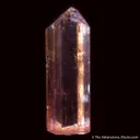 Topaz var. Imperial - image 2
