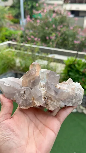 specimen video