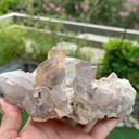 specimen video