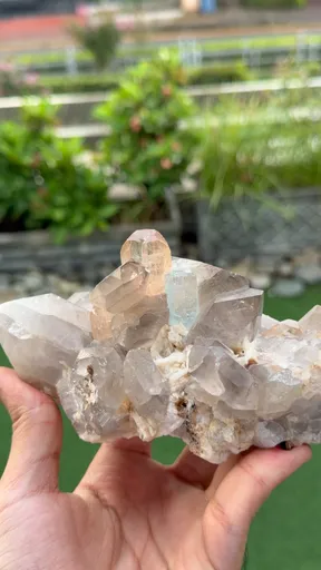 specimen video