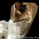Topaz with Quartz and Cleavelandite - image 4