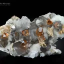 Topaz with Quartz and Muscovite on Cleavelandite - image 2