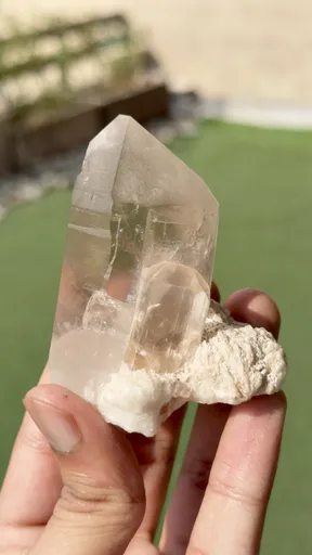 specimen video