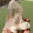 specimen video