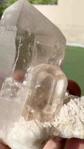 specimen video