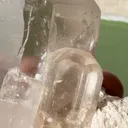 specimen video