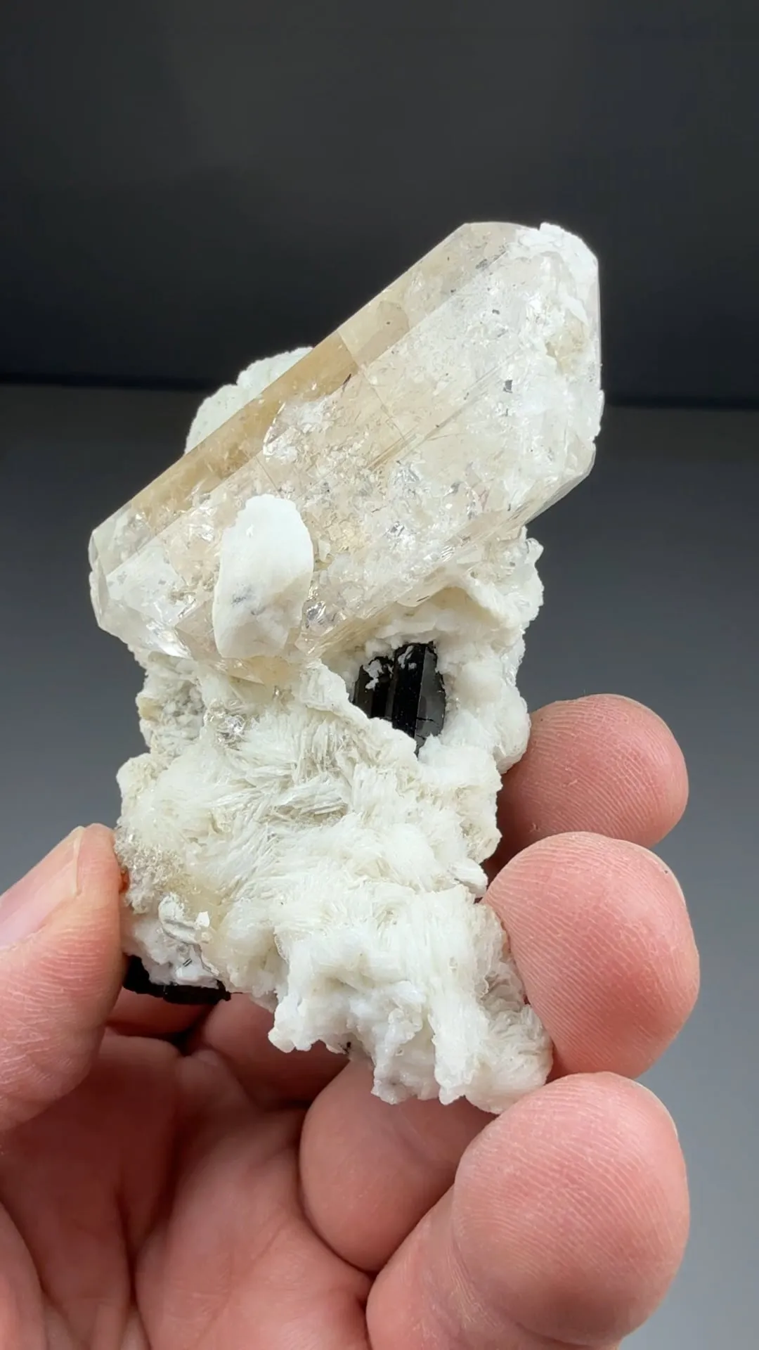 Topaz with Schorl, Albite - image 2