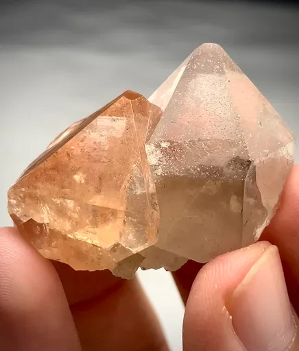 specimen video