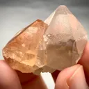 specimen video