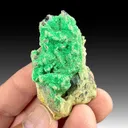 Torbernite from Cornwall, England, UK - image 1
