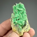 Torbernite from Cornwall, England, UK - image 2