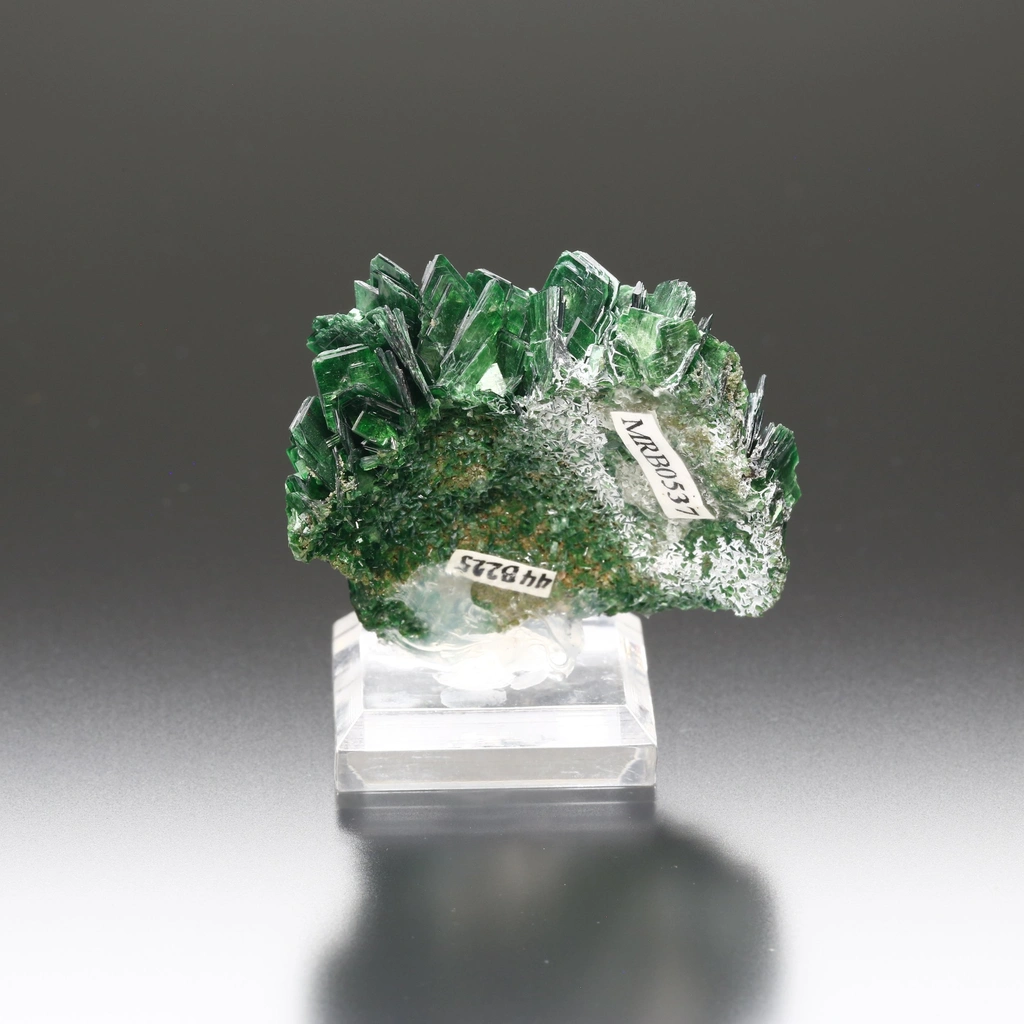 Torbernite from Musonoi Mine, Kolwezi, Mutshatsha, Lualaba, DR Congo - image 4