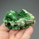 Torbernite from Musonoi Mine, Kolwezi, Mutshatsha, Lualaba, DR Congo - image 2