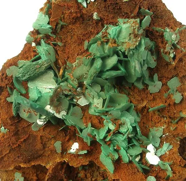 Torbernite, Limonite - image 2