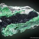 Torbernite, Metatorbernite, Curite - image 1