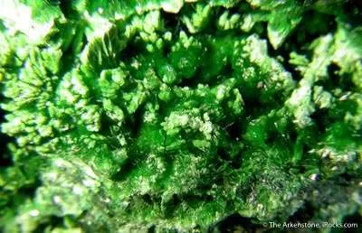 Torbernite, Metatorbernite, Curite - image 3