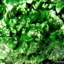 Torbernite, Metatorbernite, Curite - image 3