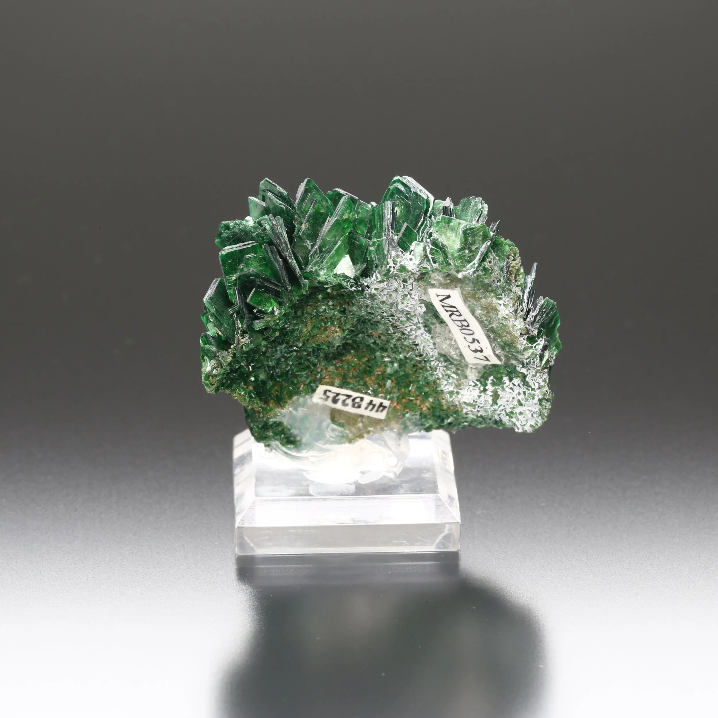 Torbernite, Musonoi Mine, Kolwezi, Lualaba, DR Congo - image 4
