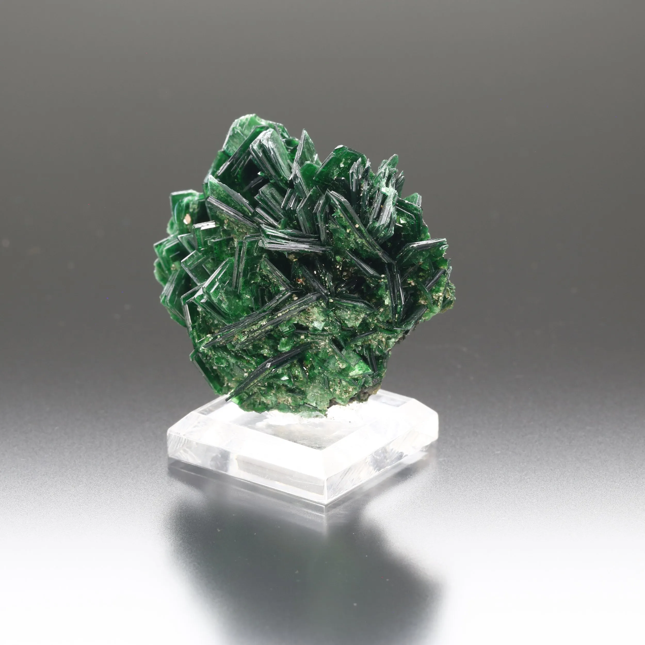 Torbernite, Musonoi Mine, Kolwezi, Lualaba, DR Congo - image 2
