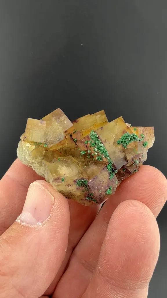Torbernite on Fluorite image
