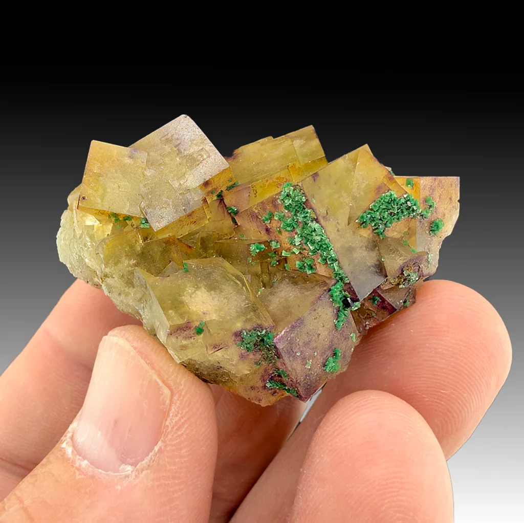 Torbernite on Fluorite image