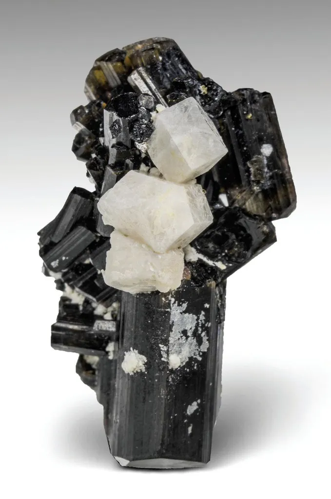 Touretite, Tourmaline image