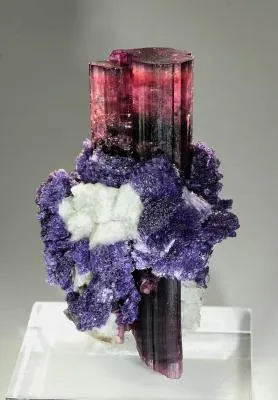 Tourmaline image