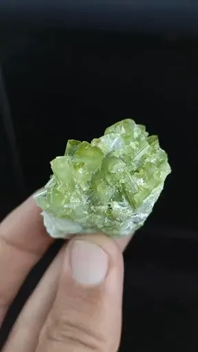 specimen video