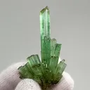 specimen video