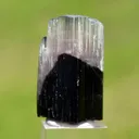 Tourmaline 28.7 grams - Vohitrakanga pegmatite, , Betafo District, Vakinankaratra, Madagascar - image 2