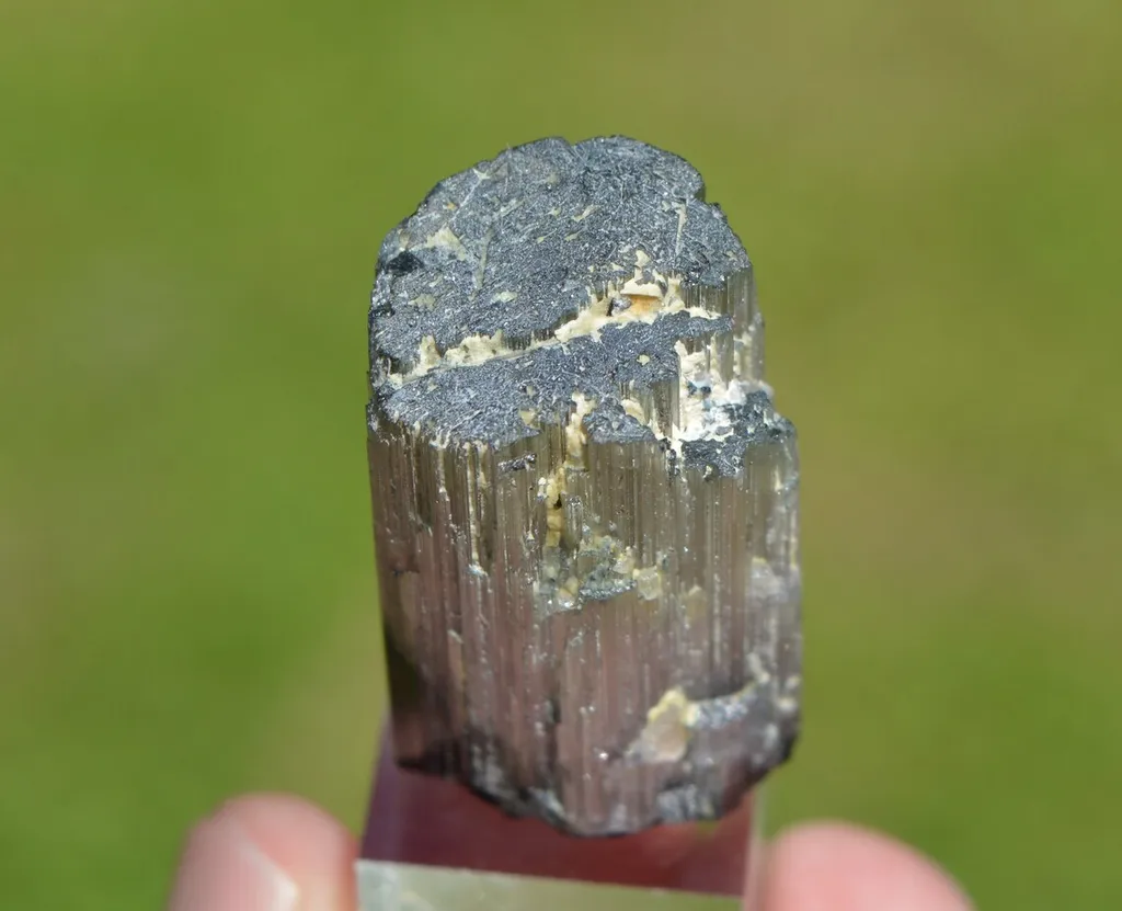 Tourmaline 28.7 grams - Vohitrakanga pegmatite, , Betafo District, Vakinankaratra, Madagascar - image 5
