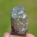 Tourmaline 28.7 grams - Vohitrakanga pegmatite, , Betafo District, Vakinankaratra, Madagascar - image 5