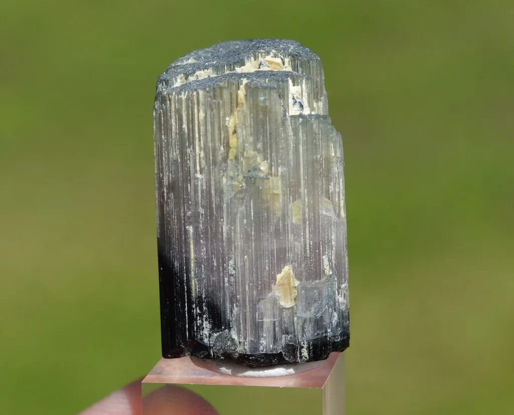 Tourmaline 28.7 grams - Vohitrakanga pegmatite, , Betafo District, Vakinankaratra, Madagascar image