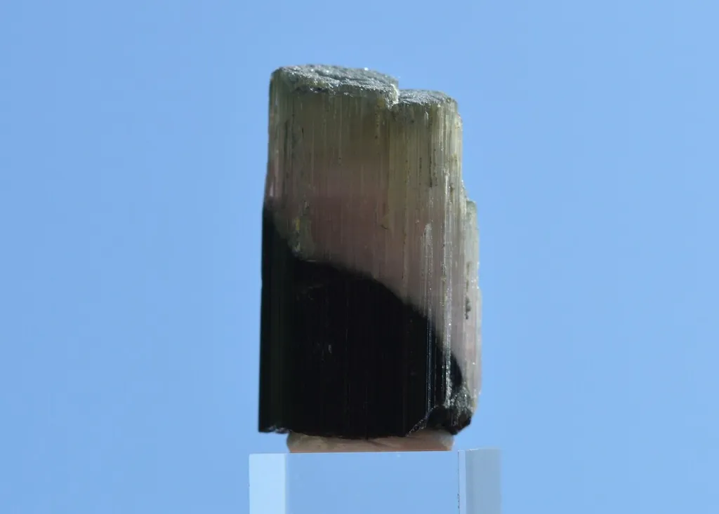 Tourmaline 28.7 grams - Vohitrakanga pegmatite, , Betafo District, Vakinankaratra, Madagascar - image 6