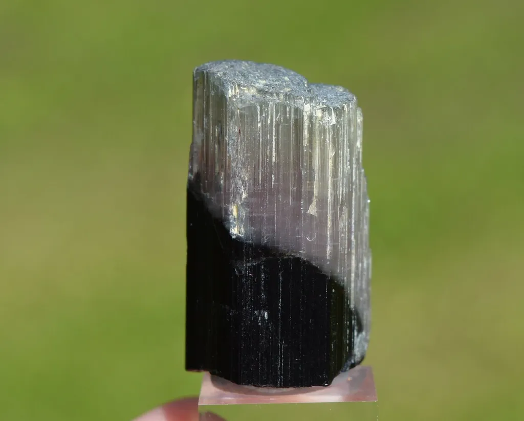 Tourmaline 28.7 grams - Vohitrakanga pegmatite, , Betafo District, Vakinankaratra, Madagascar - image 4