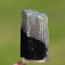 Tourmaline 28.7 grams - Vohitrakanga pegmatite, , Betafo District, Vakinankaratra, Madagascar - image 4