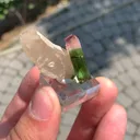 specimen video