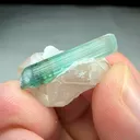 specimen video